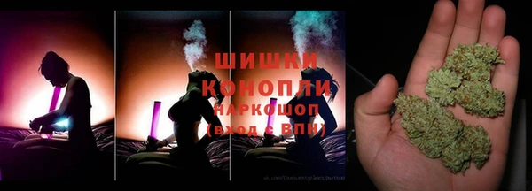 СК Алзамай