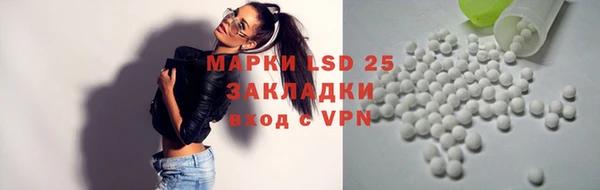 ПСИЛОЦИБИНОВЫЕ ГРИБЫ Алексеевка