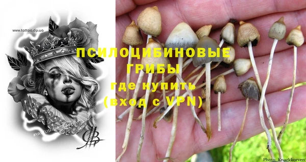 меф Алексин