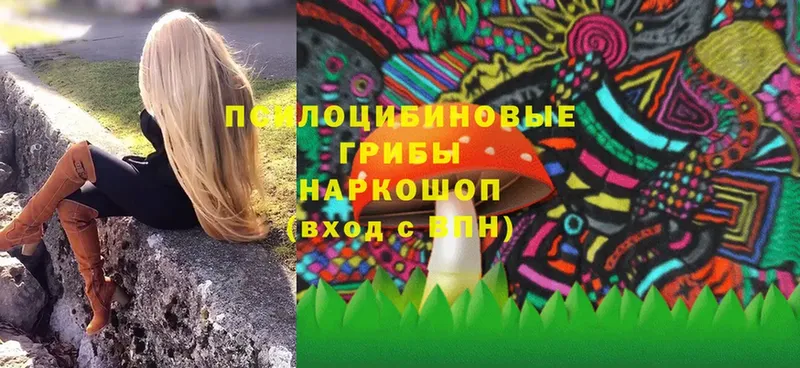 Галлюциногенные грибы Magic Shrooms  блэк спрут сайт  Весьегонск 