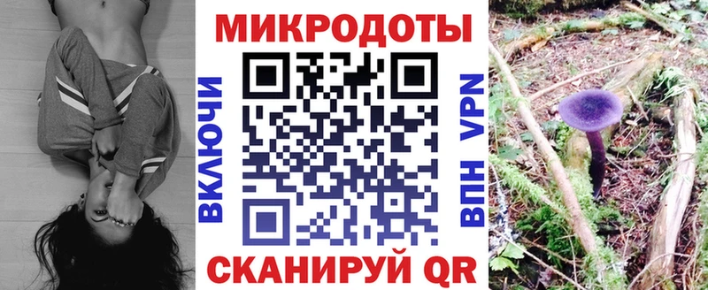 Псилоцибиновые грибы Psilocybe Весьегонск