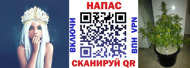 МАРИХУАНА Bruce Banner Весьегонск